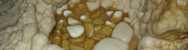 Cave pearls, polished by dripping water (NPS Photo)
